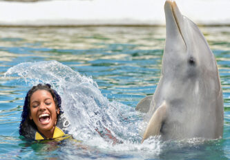 Dolphin Swim (30 min.)