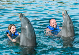 VIP Dolphin Swim