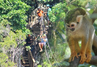 Monkeyland and Zip Line
